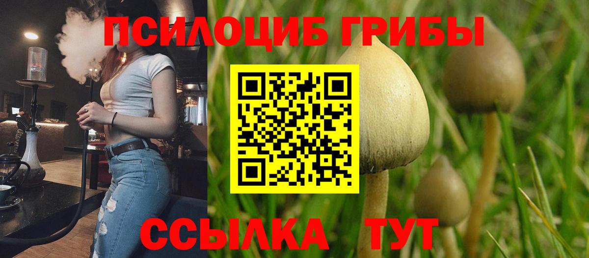 Новый Уренгой  Псилоцибиновые грибы Magic Shrooms  Галлюциногенные грибы GOLDEN TEACHER  Вход с VPN 